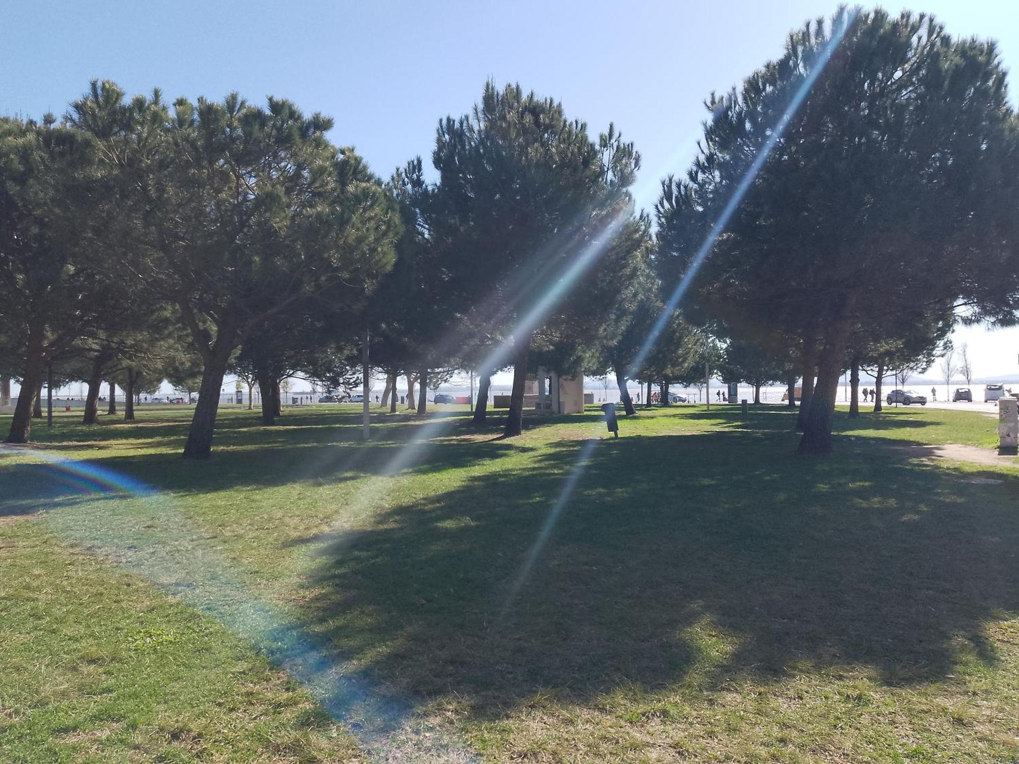 Individual * Lisbon